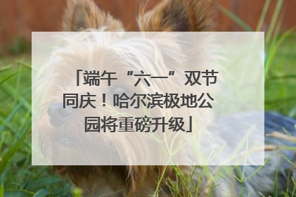 端午“六一”双节同庆！哈尔滨极地公园将重磅升级