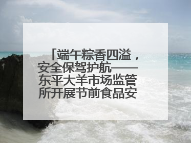 端午粽香四溢，安全保驾护航——东平大羊市场监管所开展节前食品安全专项检查