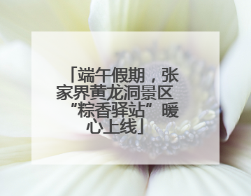 端午假期，张家界黄龙洞景区“粽香驿站”暖心上线