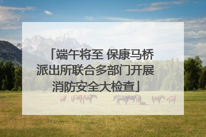 端午将至 保康马桥派出所联合多部门开展消防安全大检查