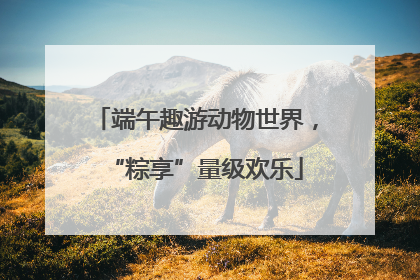 端午趣游动物世界，“粽享”量级欢乐