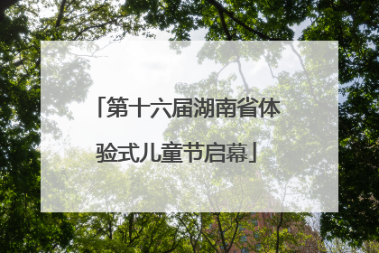 第十六届湖南省体验式儿童节启幕