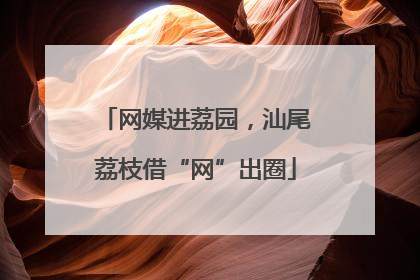 网媒进荔园，汕尾荔枝借“网”出圈