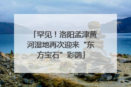 罕见！洛阳孟津黄河湿地再次迎来“东方宝石”彩鹮