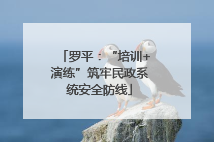 罗平：“培训+演练”筑牢民政系统安全防线