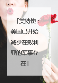 美特使：美国已开始减少在叙利亚的军事存在