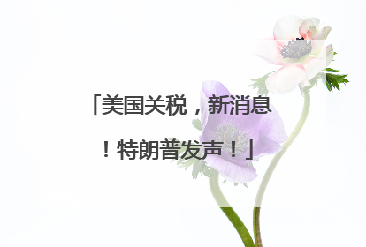 美国关税，新消息！特朗普发声！