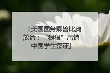 美国国务卿鲁比奥放话：“狠狠”吊销中国学生签证