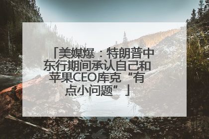 美媒爆：特朗普中东行期间承认自己和苹果CEO库克“有点小问题”