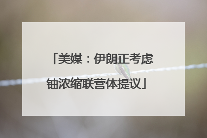 美媒：伊朗正考虑铀浓缩联营体提议