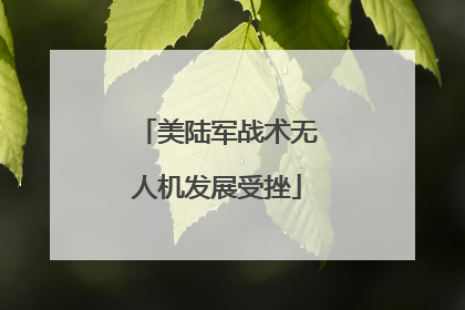 美陆军战术无人机发展受挫