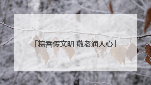 粽香传文明 敬老润人心