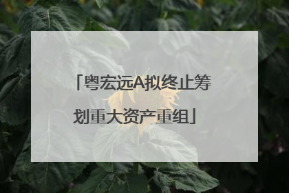 粤宏远A拟终止筹划重大资产重组