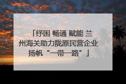 纾困 畅通 赋能 兰州海关助力陇原民营企业扬帆“一带一路”