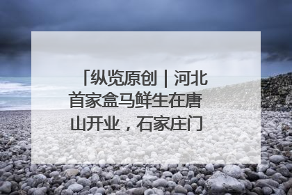纵览原创｜河北首家盒马鲜生在唐山开业，石家庄门店预计8月开业