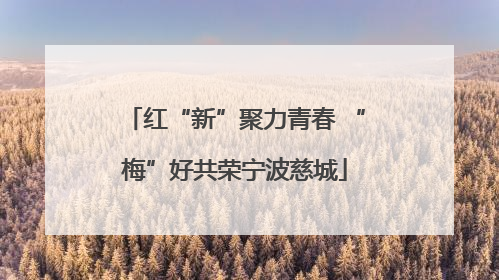 红“新”聚力青春 “梅”好共荣宁波慈城