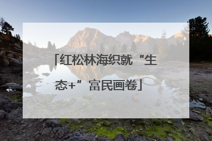 红松林海织就“生态+”富民画卷