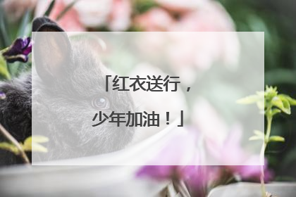 红衣送行，少年加油！