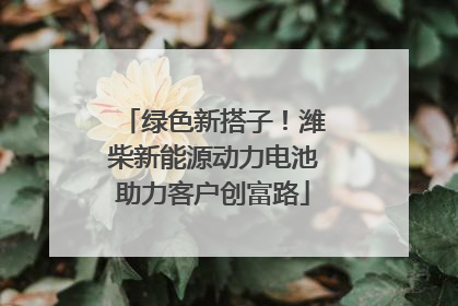 绿色新搭子！潍柴新能源动力电池助力客户创富路