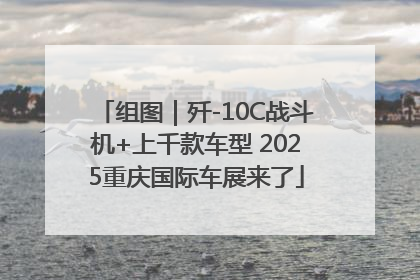 组图｜歼-10C战斗机+上千款车型 2025重庆国际车展来了
