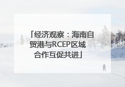 经济观察：海南自贸港与RCEP区域合作互促共进