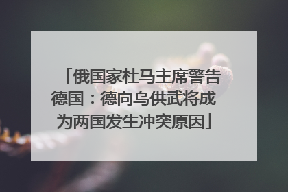 俄国家杜马主席警告德国：德向乌供武将成为两国发生冲突原因