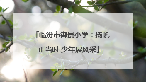 临汾市御景小学：扬帆正当时 少年展风采