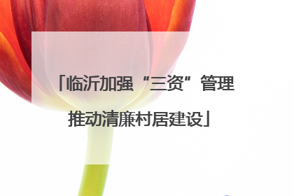临沂加强“三资”管理 推动清廉村居建设