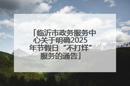 临沂市政务服务中心关于明确2025年节假日“不打烊”服务的通告