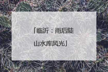 临沂：雨后陡山水库风光