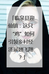 临泉县迎仙镇：这只“鸡”如何引领乡村经济展翅飞翔？