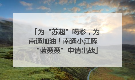为“苏超”喝彩，为南通加油！南通小江豚“蓝叒叒”申请出战