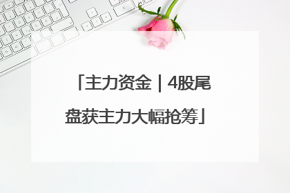 主力资金｜4股尾盘获主力大幅抢筹