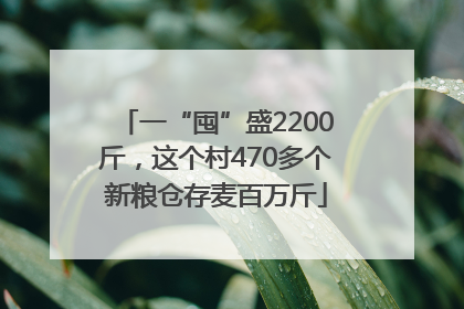 一“囤”盛2200斤，这个村470多个新粮仓存麦百万斤