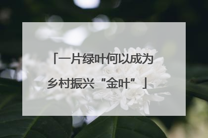 一片绿叶何以成为乡村振兴“金叶”