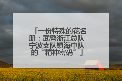 一份特殊的花名册：武警浙江总队宁波支队镇海中队的“精神密码”