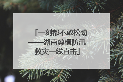 一刻都不敢松劲——湖南桑植防汛救灾一线直击