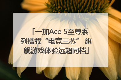 一加Ace 5至尊系列搭载“电竞三芯” 旗舰游戏体验远超同档