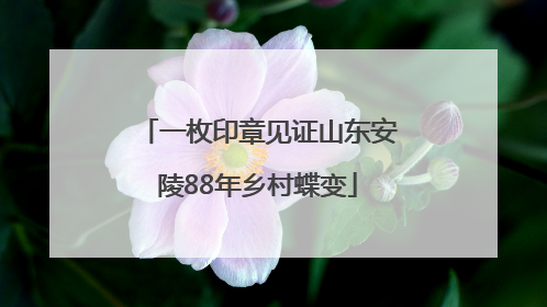 一枚印章见证山东安陵88年乡村蝶变
