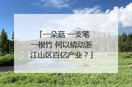 一朵菇 一支笔 一根竹 何以撬动浙江山区百亿产业？