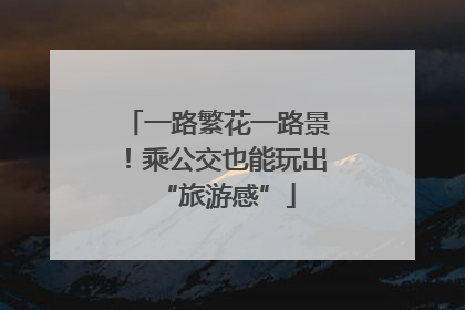 一路繁花一路景！乘公交也能玩出“旅游感”