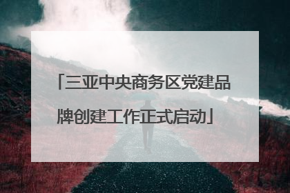 三亚中央商务区党建品牌创建工作正式启动