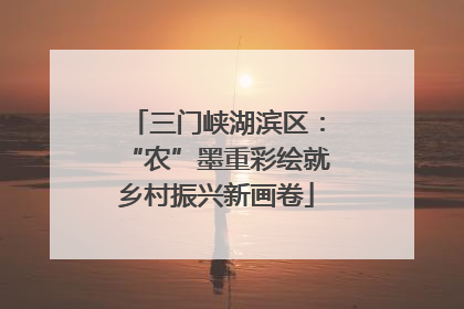 三门峡湖滨区：“农”墨重彩绘就乡村振兴新画卷