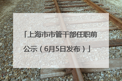 上海市市管干部任职前公示（6月5日发布）