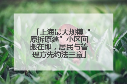 上海最大规模“原拆原建”小区回搬在即，居民与管理方先约法三章