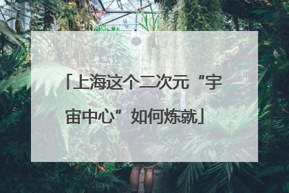 上海这个二次元“宇宙中心”如何炼就