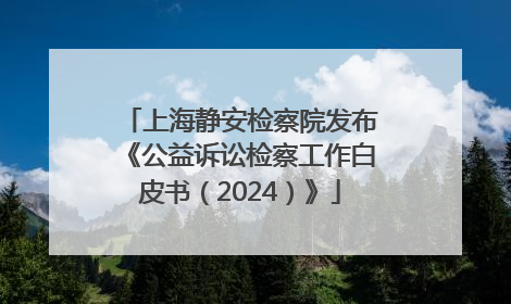 上海静安检察院发布《公益诉讼检察工作白皮书（2024）》