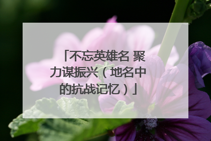 不忘英雄名 聚力谋振兴（地名中的抗战记忆）