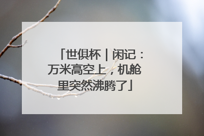 世俱杯｜闲记：万米高空上，机舱里突然沸腾了
