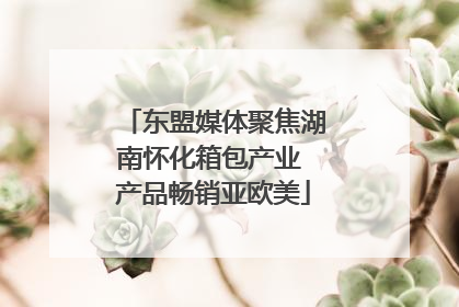 东盟媒体聚焦湖南怀化箱包产业 产品畅销亚欧美